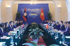 La 10e Consultation au niveau ministériel des Affaires étrangères Vietnam-Laos