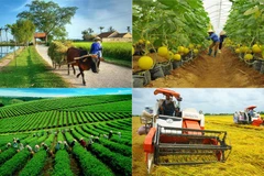 Le secteur agricole continue de se concentrer sur trois grands programmes pour le second semestre