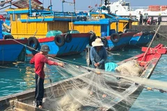 La province de Tien Giang redouble des efforts contre la pêche INN
