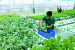 Le delta du Mékong jette les bases de l’agriculture biologique