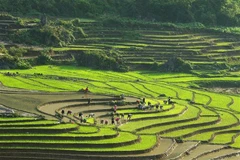Les localités vietnamiennes et chinoises encouragent la coopération touristique