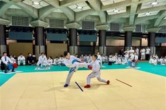 Tournoi de karaté vietnamien au Japon