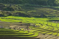 Les localités vietnamiennes et chinoises encouragent la coopération touristique
