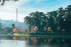 L'adhésion au Réseau des villes créatives de l'UNESCO est une fierté et une responsabilité 