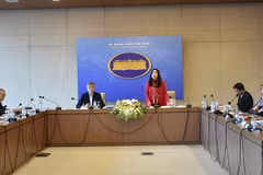 Diverses activités reliant les Vietnamiens d’outre-mer à leur pays d’origine