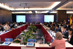 ARF: la 11e réunion du Groupe de travail de mi-mandat sur la sécurité maritime à Da Nang