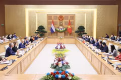 L'économie et le commerce - Piliers importants dans les relations Vietnam – Pays-Bas