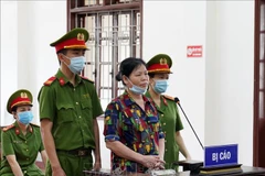 Hoa Binh : deux personnes condamnées pour propagande contre l’Etat