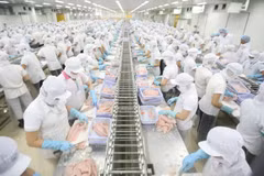 Perspectives de la coopération commerciale Vietnam – Norvège dans la nouvelle situation
