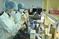 COVID-19: le Vietnam recevra la technologie basée sur l'ARN messager pour fabriquer des vaccins