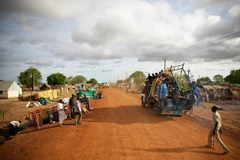 Le Vietnam souligne l’importance de la FISNUA pour la sécurité dans la région d'Abyei