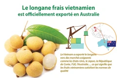 Le longane frais vietnamien est officiellement exporté en Australie