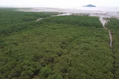 Le Vietnam doit maintenir l’équilibre écologique pour atteindre la neutralité carbone 