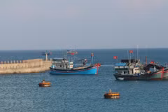 Explorer la beauté de la mer et des îles du Vietnam à travers des photos