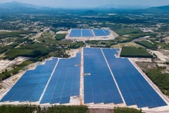 Le premier projet d’électricité solaire à Binh Dinh raccordé au réseau national