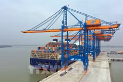 Le transport de marchandises en conteneurs via les ports maritimes de Ba Ria-Vung Tau en hausse 