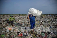 Le secteur de l’aquaculture dit non aux déchets plastiques océaniques