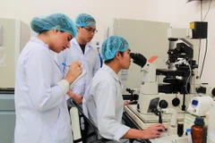 Deux universités vietnamiennes parmi les 1.000 meilleures du monde