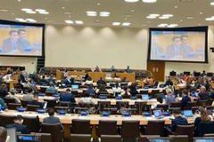 Le Vietnam affirme la liberté de navigation et de survol en Mer Orientale 