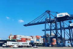 Quang Ninh favorise le mouillage des porte-conteneurs dans ses ports