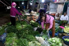 Développement d’un système de centres modernes d’approvisionnement des produits agricoles 