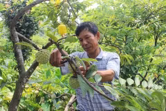 Exportations vietnamiennes de fruits et légumes en neuf mois
