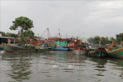 Renforcement de la sensibilisation à la lutte contre la pêche INN à Tiên Giang