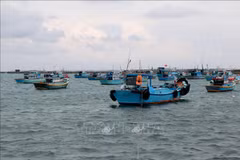 INN: Thanh Hoa appelée à prendre des mesures plus drastiques 