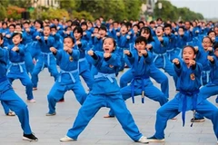 La Coupe d’ambassadeurs de vovinam a fière allure en Algérie