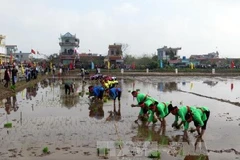 La vice-présidente Dang Thi Ngoc Thinh à la fête de la descente aux champs à Nam Dinh