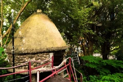 L’originalité du homestay à Hanoï