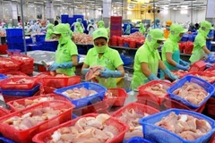 2017 : nouveau record pour les exportations de produits agricoles, sylvicoles et aquatiques