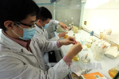 Le Vietnam partage des expériences en matière de médecine nucléaire 