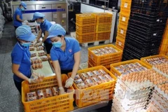 Phu Tho : inauguration d'une usine de production d’œufs de poule bio