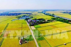 Coopération agricole entre la Belgique et le Vietnam