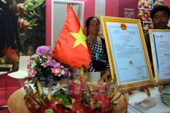 Des fruits du dragon du Vietnam présentés au Fruit Logistica 2017 à Berlin