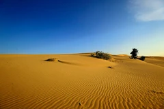 La séduction cachée de la dune de Nam Cuong