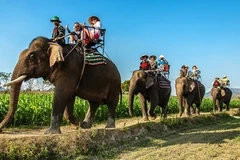 Découvrir le Vietnam via 100 excellentes photos 