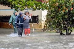 Ouragan Irma : des entreprises vietnamiennes aux côtés des sinistrés cubains