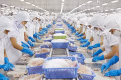Près de 6,84 milliards d’exportation de produits aquatiques en 10 mois