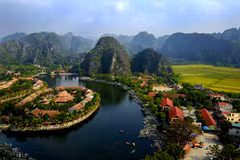 La beauté de la saison du riz mûr de la baie d’Halong sur la terre