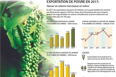 Exportation de poivre en 2017 : hausse en volume mais baisse en valeur