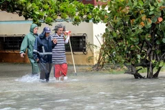 Ouragan Irma : des entreprises vietnamiennes aux côtés des sinistrés cubains