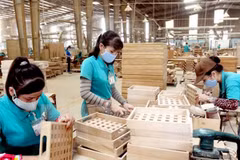 Les exportations de bois devraient atteindre 8 milliards de dollars en 2017
