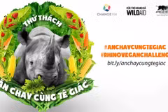 La campagne "Pratiquer le végétalisme avec les rhinocéros" a lieu à HCM-Ville