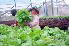 Accélérer la coopération dans l’agriculture biologique
