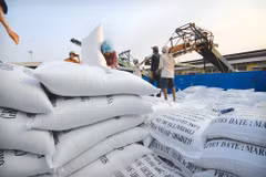 An Giang vise 820 millions de dollars d’exportations en 2017