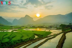 Mu Cang Chai à la saison du repiquage du riz