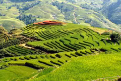 Le Vietnam parmi les pays les plus beaux et les moins coûteux du globe