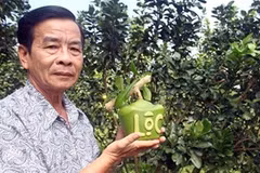 À l’approche du Têt: Des fruits «stylisés» 